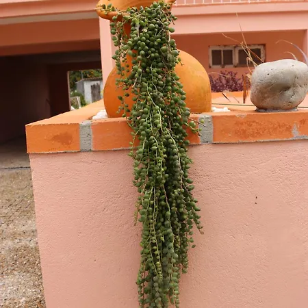 Casa Do Avo Gil Seixo (Coimbra)