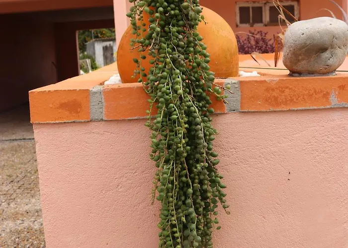 Casa Do Avo Gil Seixo (Coimbra)