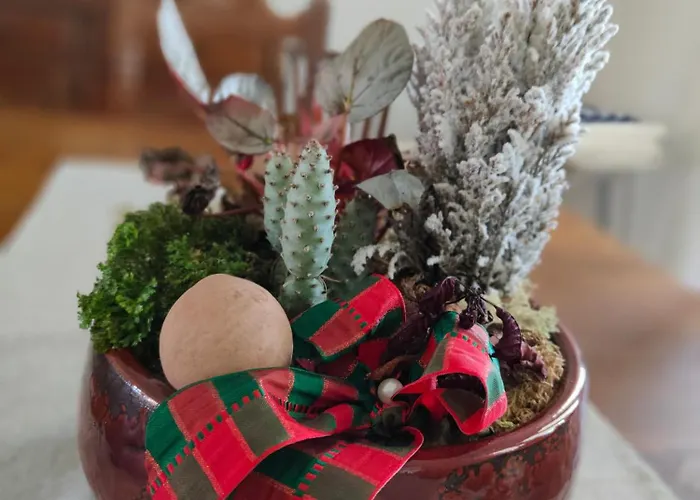 Casa Do Avo Gil Seixo (Coimbra)